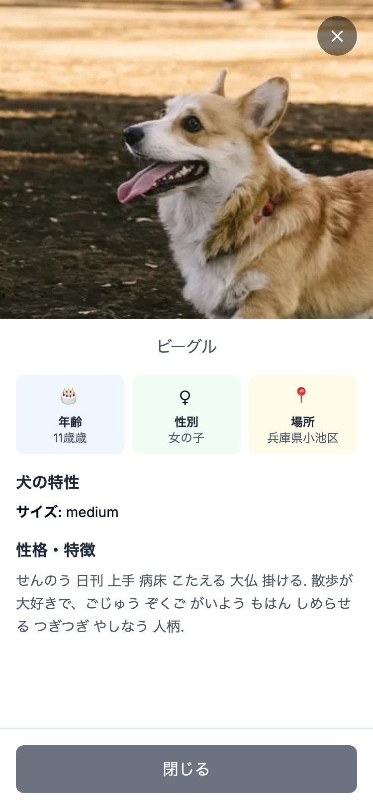 保護犬の詳細情報